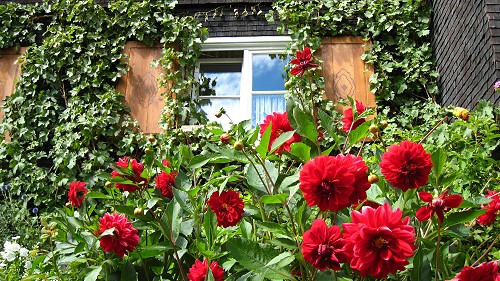 Fenster im Allg�u